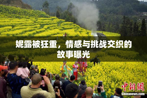 妮露被狂重，情感与挑战交织的故事曝光