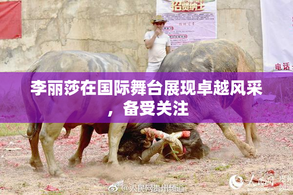 李丽莎在国际舞台展现卓越风采，备受关注