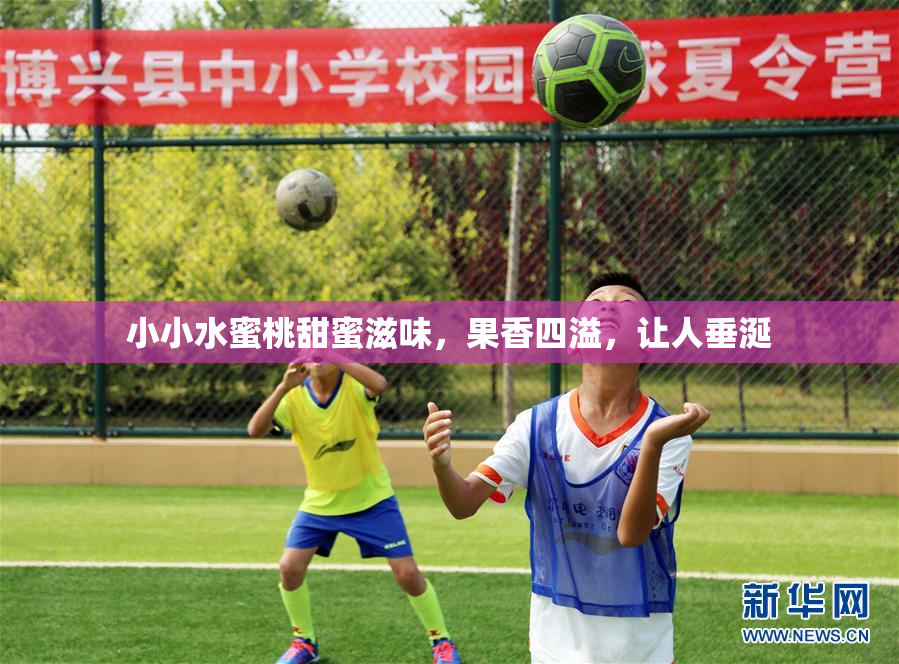 小小水蜜桃甜蜜滋味，果香四溢，让人垂涎