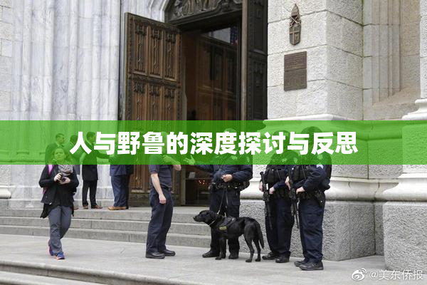 人与野鲁的深度探讨与反思