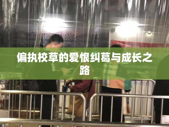 偏执校草的爱恨纠葛与成长之路