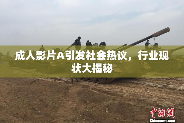 成人影片A引发社会热议，行业现状大揭秘