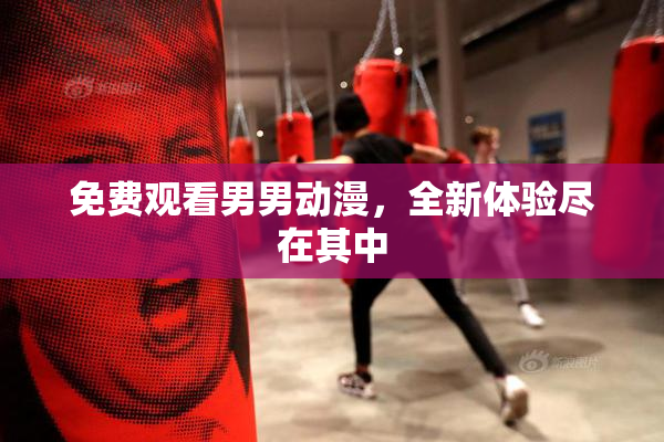 免费观看男男动漫，全新体验尽在其中