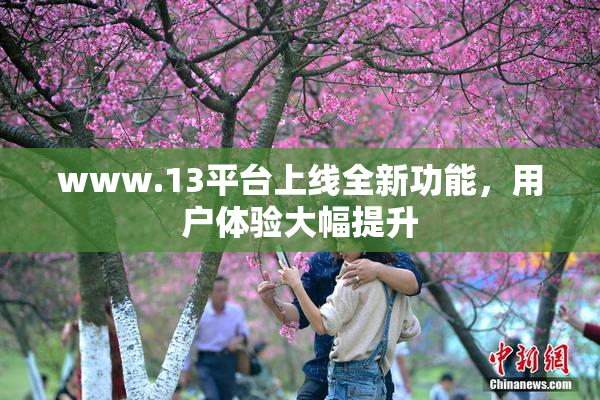 www.13平台上线全新功能，用户体验大幅提升