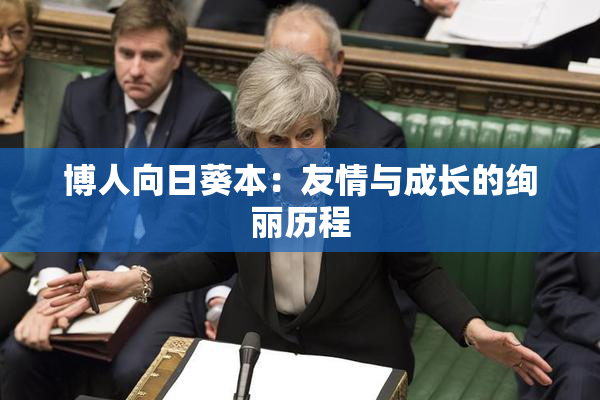 博人向日葵本：友情与成长的绚丽历程