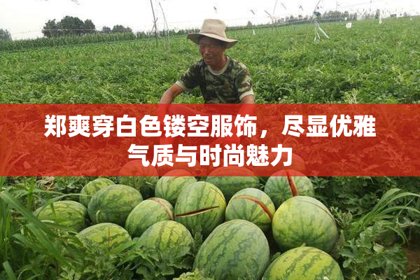 郑爽穿白色镂空服饰，尽显优雅气质与时尚魅力