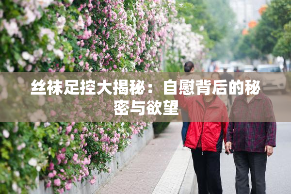 丝袜足控大揭秘：自慰背后的秘密与欲望