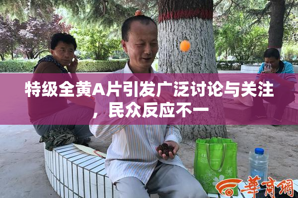 特级全黄A片引发广泛讨论与关注，民众反应不一