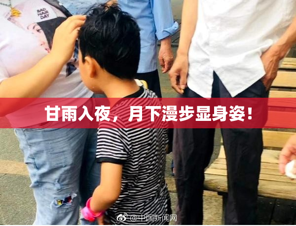 甘雨入夜，月下漫步显身姿！