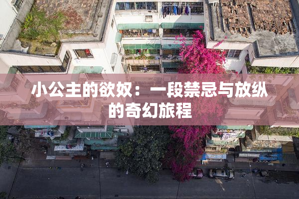 小公主的欲奴：一段禁忌与放纵的奇幻旅程