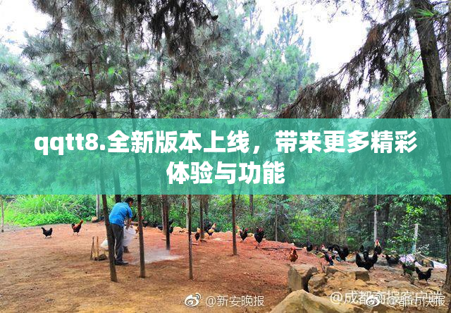qqtt8.全新版本上线，带来更多精彩体验与功能