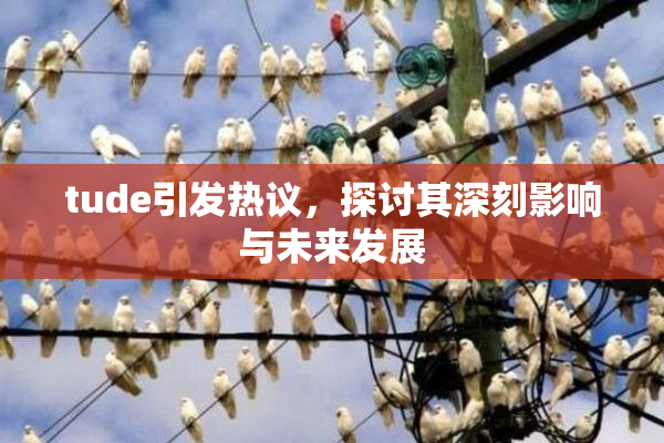 tude引发热议，探讨其深刻影响与未来发展