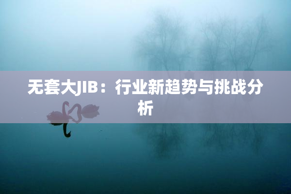 无套大JIB：行业新趋势与挑战分析
