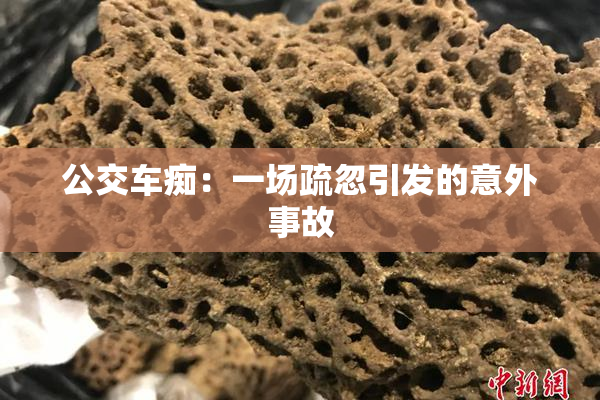 公交车痴：一场疏忽引发的意外事故