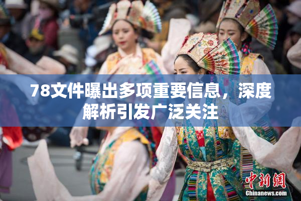78文件曝出多项重要信息，深度解析引发广泛关注