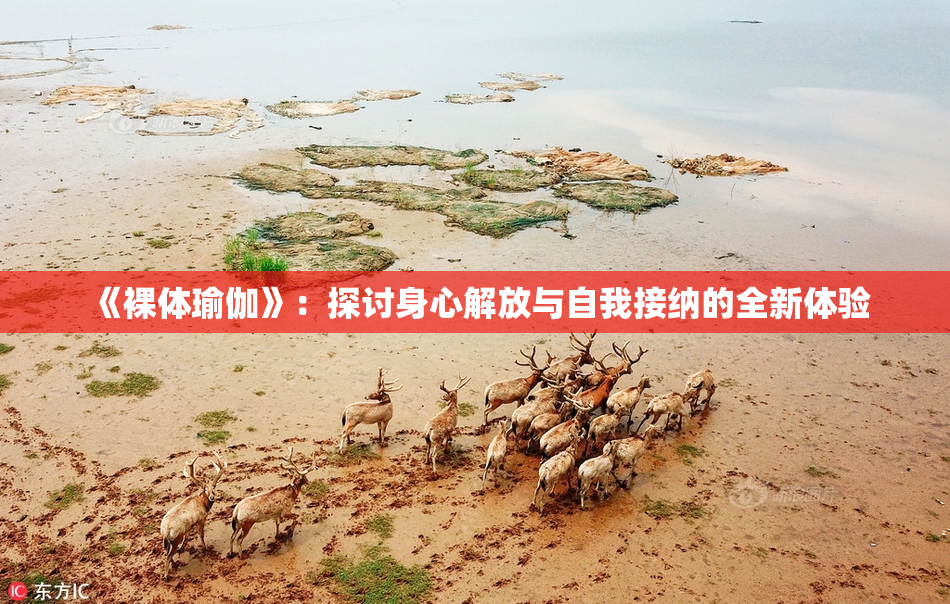 《裸体瑜伽》：探讨身心解放与自我接纳的全新体验