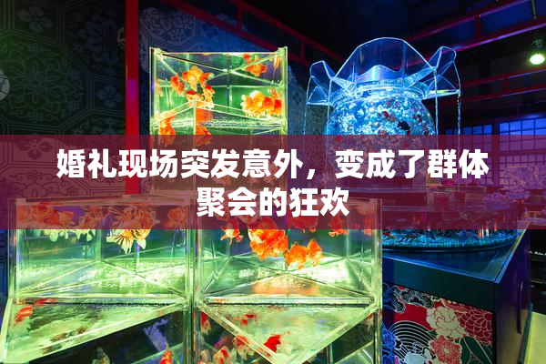 婚礼现场突发意外，变成了群体聚会的狂欢