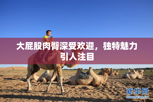 大屁股肉臀深受欢迎，独特魅力引人注目