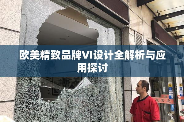 欧美精致品牌VI设计全解析与应用探讨