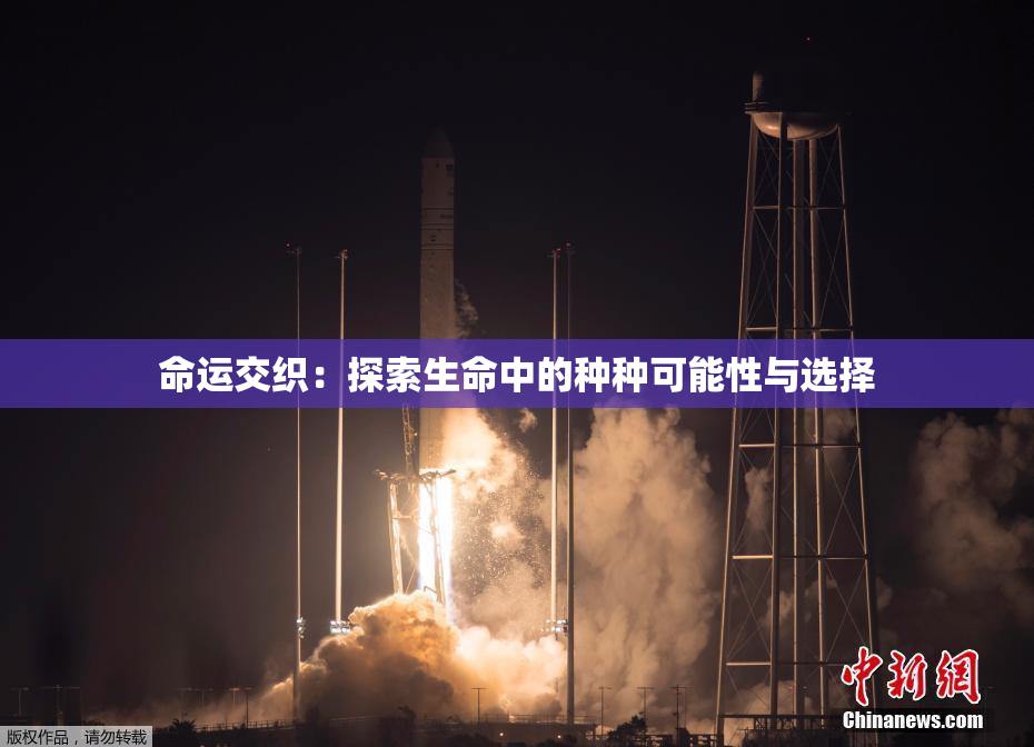 命运交织：探索生命中的种种可能性与选择