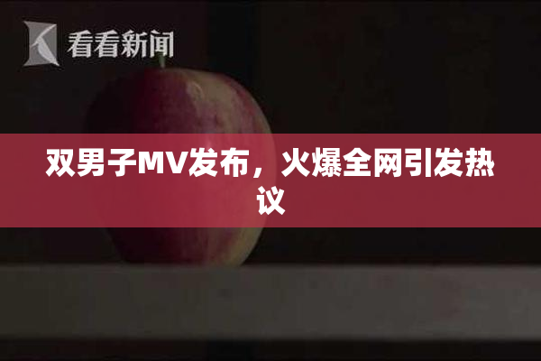 双男子MV发布，火爆全网引发热议