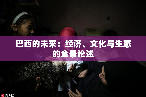 巴西的未来：经济、文化与生态的全景论述