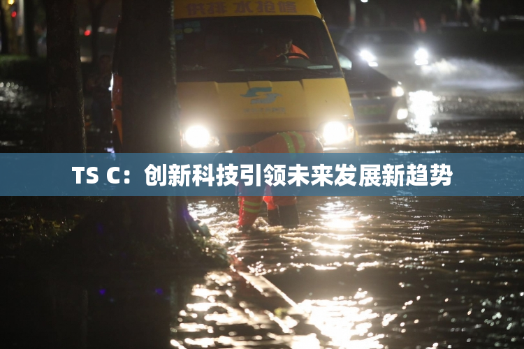 TS C：创新科技引领未来发展新趋势