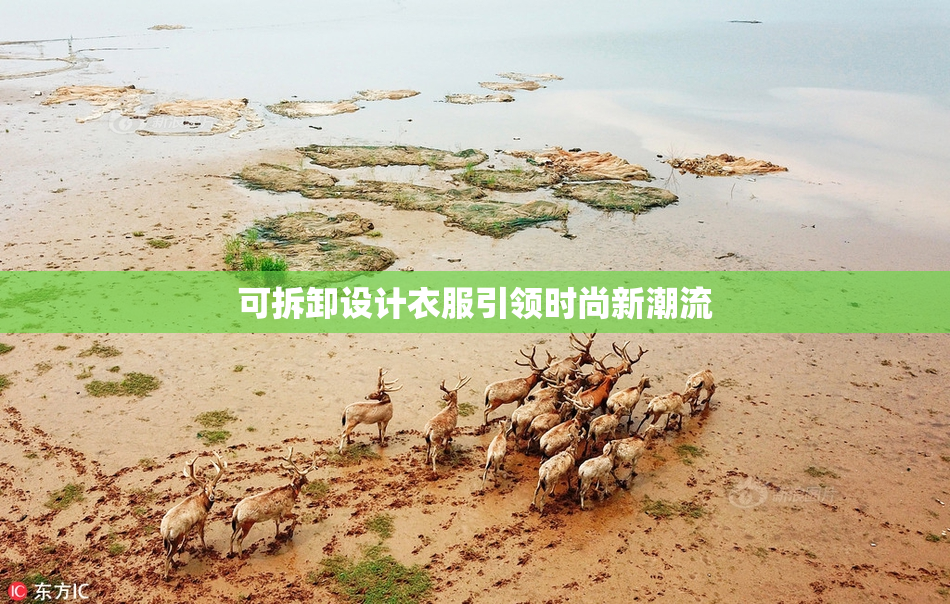 可拆卸设计衣服引领时尚新潮流