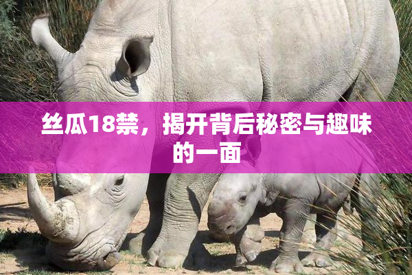 丝瓜18禁，揭开背后秘密与趣味的一面