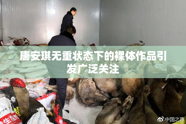 唐安琪无重状态下的裸体作品引发广泛关注