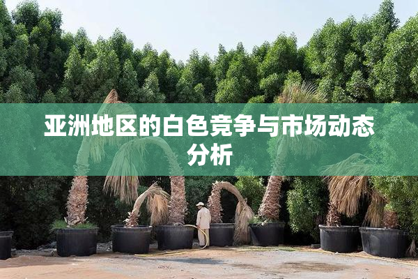 亚洲地区的白色竞争与市场动态分析