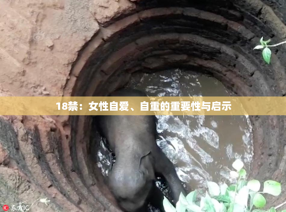 18禁：女性自爱、自重的重要性与启示
