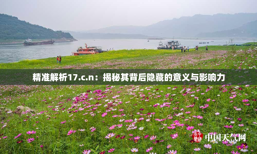 精准解析17.c.n：揭秘其背后隐藏的意义与影响力