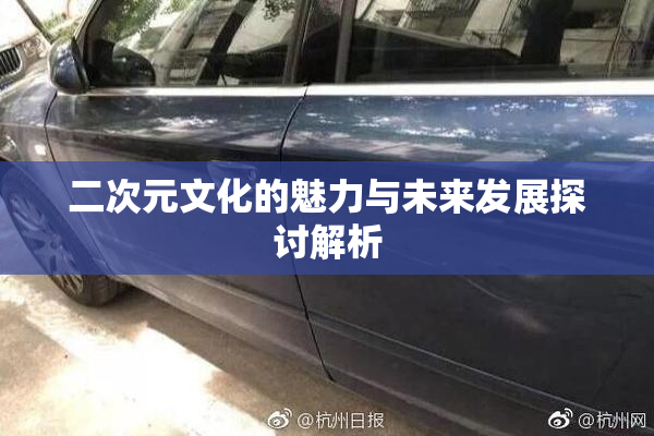 二次元文化的魅力与未来发展探讨解析