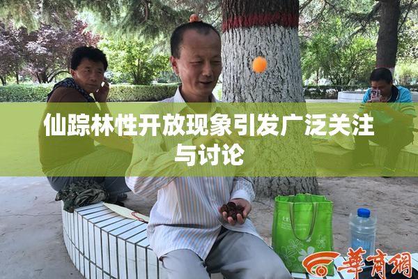 仙踪林性开放现象引发广泛关注与讨论