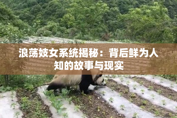 浪荡妓女系统揭秘：背后鲜为人知的故事与现实