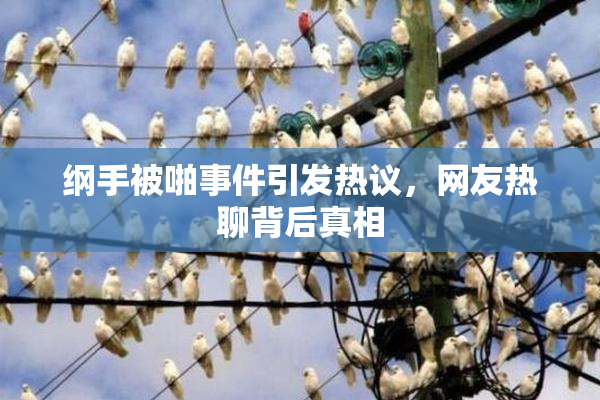 纲手被啪事件引发热议，网友热聊背后真相