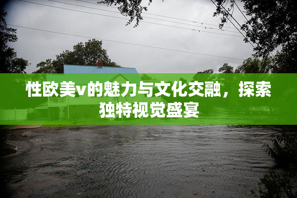 性欧美v的魅力与文化交融，探索独特视觉盛宴
