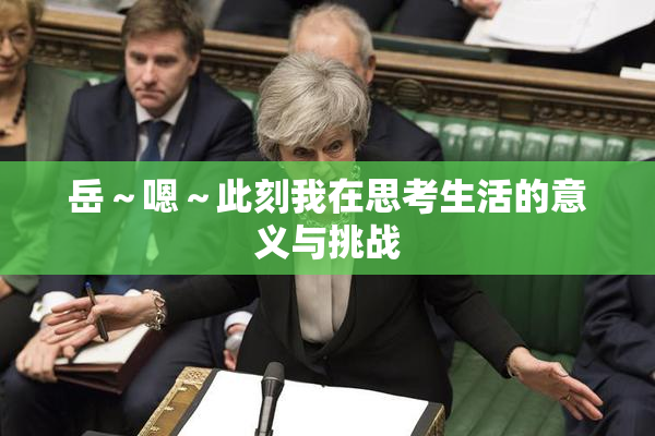 岳～嗯～此刻我在思考生活的意义与挑战
