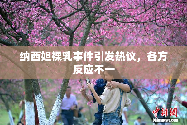 纳西妲裸乳事件引发热议，各方反应不一