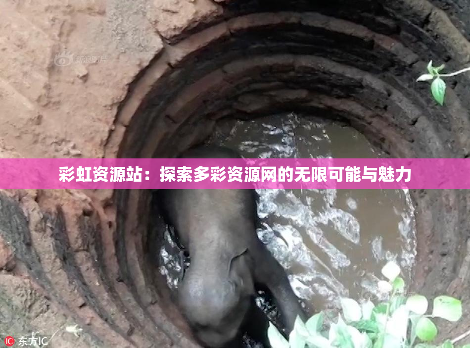 彩虹资源站：探索多彩资源网的无限可能与魅力