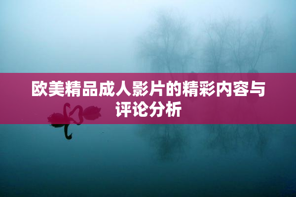 欧美精品成人影片的精彩内容与评论分析
