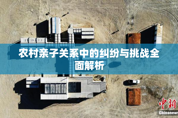 农村亲子关系中的纠纷与挑战全面解析