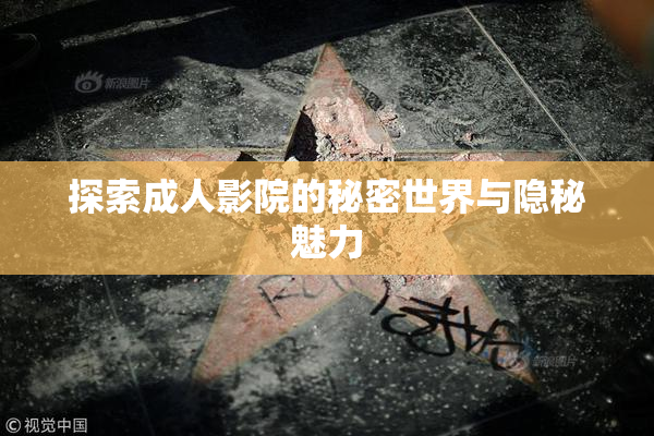 探索成人影院的秘密世界与隐秘魅力