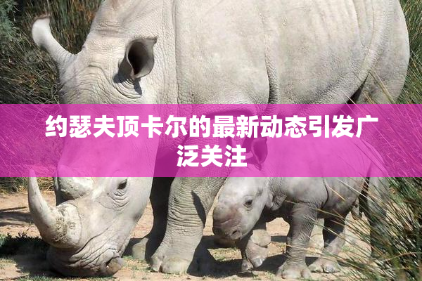 约瑟夫顶卡尔的最新动态引发广泛关注