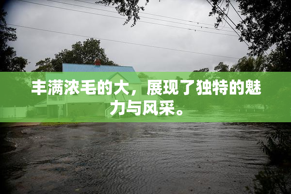 丰满浓毛的大，展现了独特的魅力与风采。