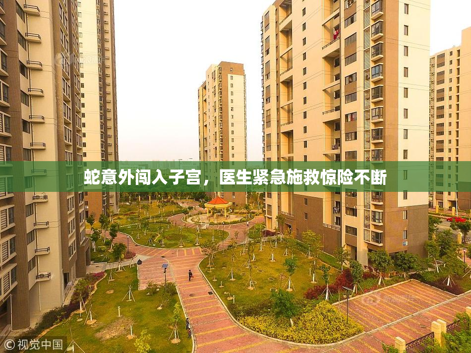 蛇意外闯入子宫，医生紧急施救惊险不断