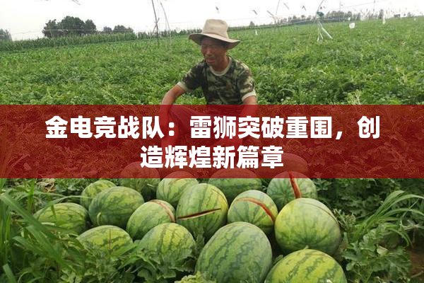 金电竞战队：雷狮突破重围，创造辉煌新篇章