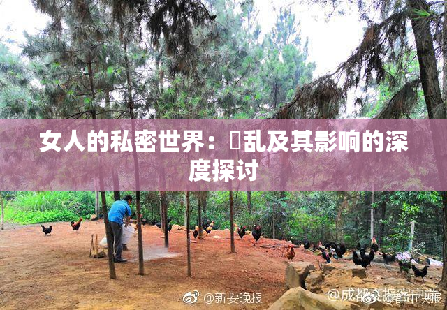 女人的私密世界：婬乱及其影响的深度探讨