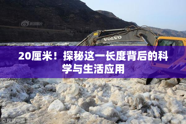 20厘米！探秘这一长度背后的科学与生活应用